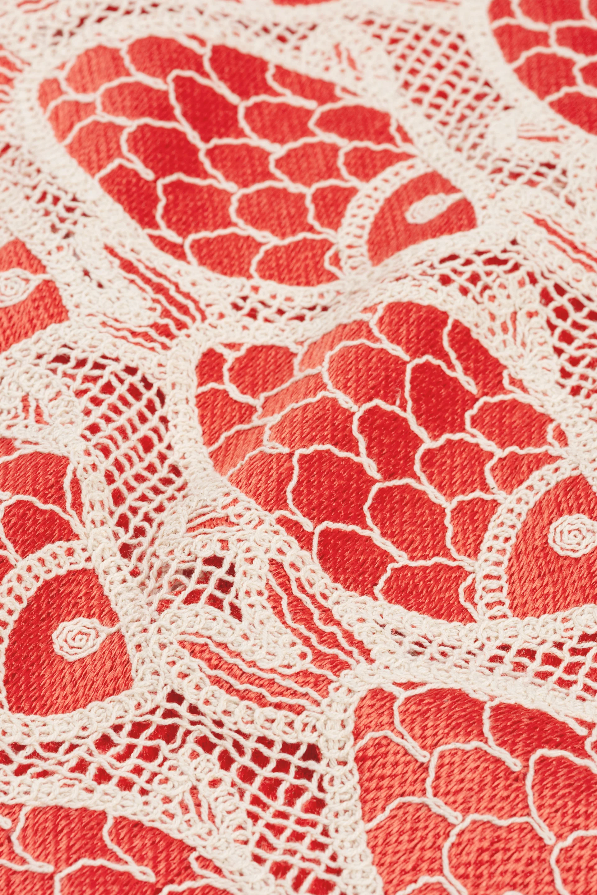 Muca Top | Tangerine Tango - Image 5